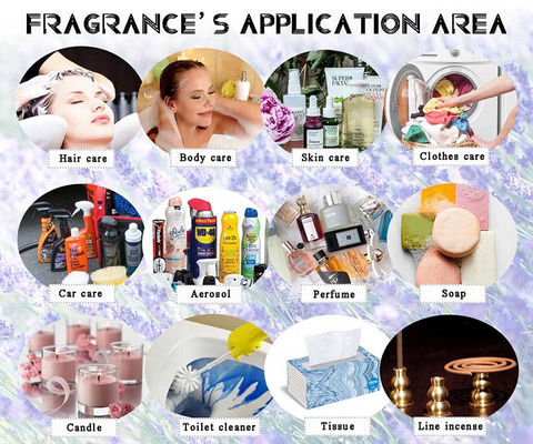 Grapefruit Concentrated Bulk Perfume Oils For Perfume Making