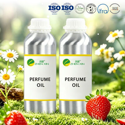 Dubai Arabe Luxury Perfume Oil Long Lasting Perfume Fragrance Wholesale