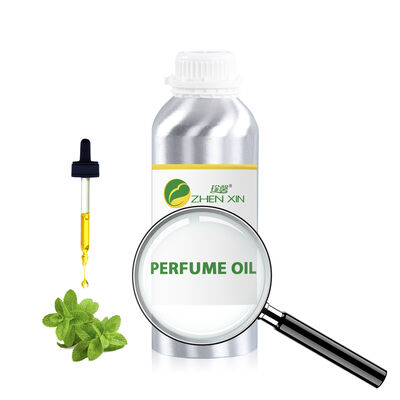 Luxury Arabic Perfume Oil Men Fragrance Brand Perfume Distributor Designer Inspired Middle East Perfume Fragrance Oil for Men